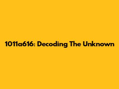 1011a616: Decoding The Unknown