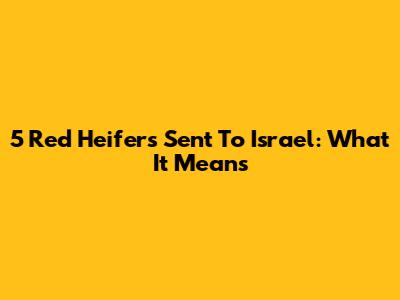 5 Red Heifers Sent To Israel: What It Means