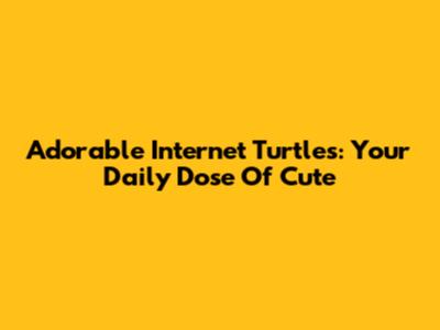 Adorable Internet Turtles: Your Daily Dose Of Cute