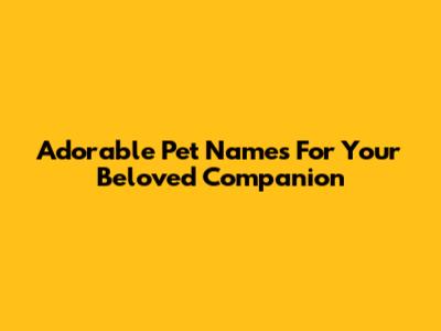 Adorable Pet Names For Your Beloved Companion