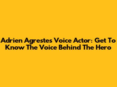 Adrien Agreste's Voice Actor: Get To Know The Voice Behind The Hero
