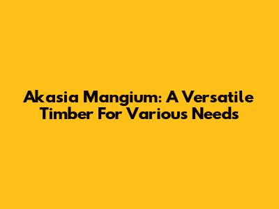 Akasia Mangium: A Versatile Timber For Various Needs
