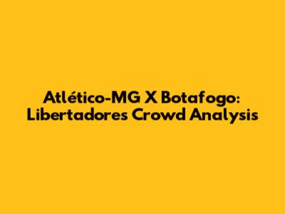 Atlético-MG X Botafogo: Libertadores Crowd Analysis