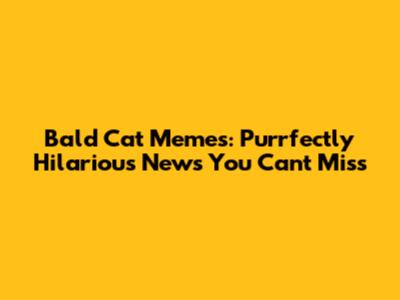 Bald Cat Memes: Purrfectly Hilarious News You Can't Miss