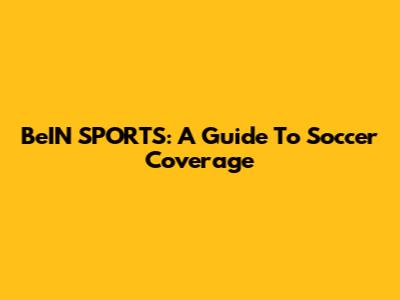 BeIN SPORTS: A Guide To Soccer Coverage
