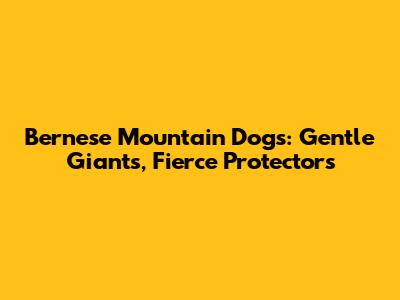 Bernese Mountain Dogs: Gentle Giants, Fierce Protectors