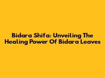 Bidara Shifa: Unveiling The Healing Power Of Bidara Leaves