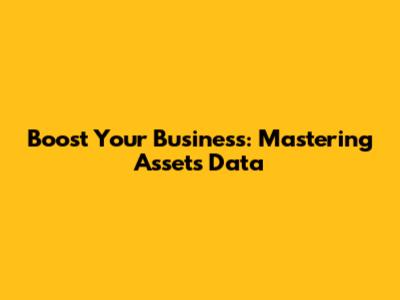 Boost Your Business: Mastering Assets Data