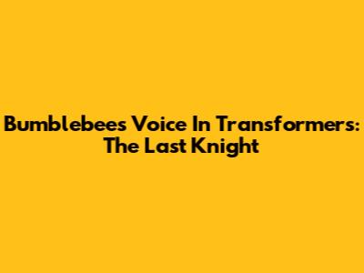 Bumblebee's Voice In Transformers: The Last Knight