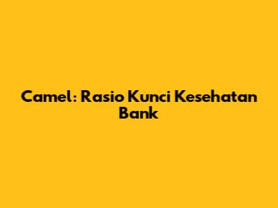 Camel: Rasio Kunci Kesehatan Bank