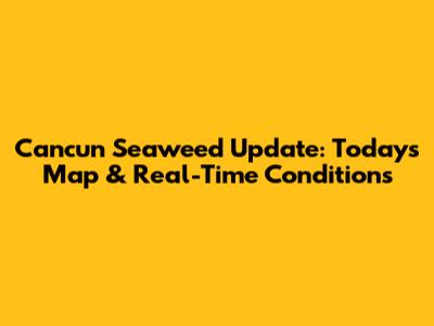 Cancun Seaweed Update: Today's Map & Real-Time Conditions