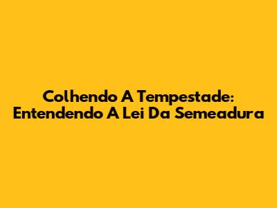 Colhendo A Tempestade: Entendendo A Lei Da Semeadura