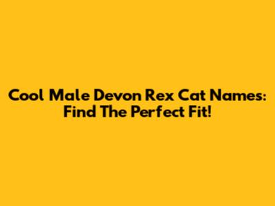 Cool Male Devon Rex Cat Names: Find The Perfect Fit!