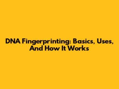 DNA Fingerprinting: Basics, Uses, And How It Works