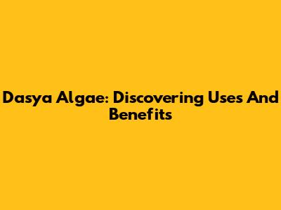 Dasya Algae: Discovering Uses And Benefits
