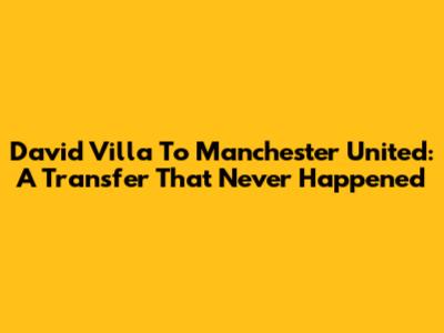 David Villa To Manchester United: A Transfer That Never Happened