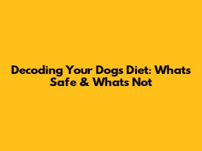 Decoding Your Dog's Diet: What's Safe & What's Not