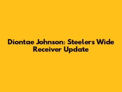 Diontae Johnson: Steelers Wide Receiver Update
