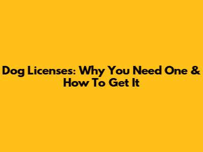 Dog Licenses: Why You Need One & How To Get It