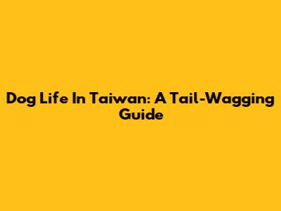 Dog Life In Taiwan: A Tail-Wagging Guide