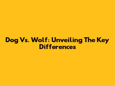 Dog Vs. Wolf: Unveiling The Key Differences