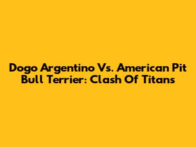 Dogo Argentino Vs. American Pit Bull Terrier: Clash Of Titans