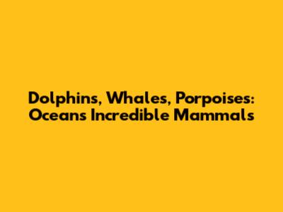 Dolphins, Whales, Porpoises: Ocean's Incredible Mammals