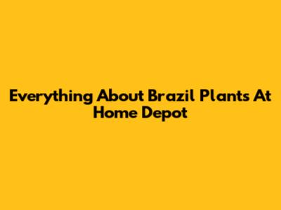 Everything About Brazil Plants At Home Depot
