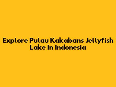 Explore Pulau Kakaban's Jellyfish Lake In Indonesia
