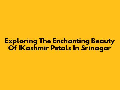 Exploring The Enchanting Beauty Of IKashmir Petals In Srinagar