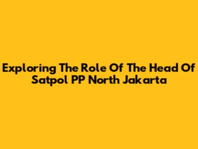 Exploring The Role Of The Head Of Satpol PP North Jakarta