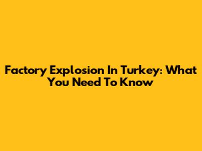Factory Explosion In Turkey: What You Need To Know
