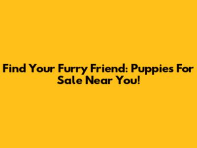 Find Your Furry Friend: Puppies For Sale Near You!