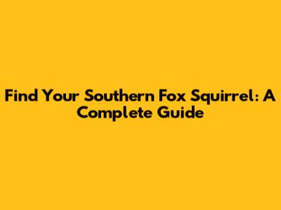 Find Your Southern Fox Squirrel: A Complete Guide