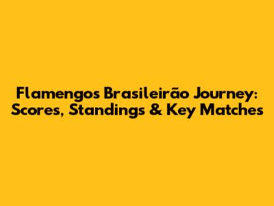 Flamengo's Brasileirão Journey: Scores, Standings & Key Matches