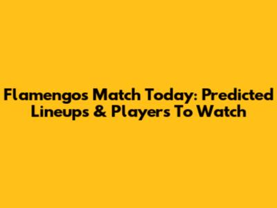 Flamengo's Match Today: Predicted Lineups & Players To Watch