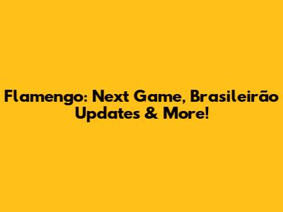 Flamengo: Next Game, Brasileirão Updates & More!