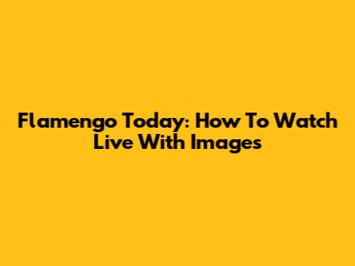 Flamengo Today: How To Watch Live With Images