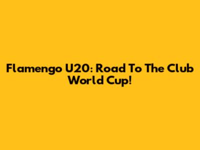 Flamengo U20: Road To The Club World Cup!