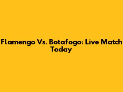 Flamengo Vs. Botafogo: Live Match Today