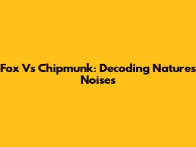 Fox Vs Chipmunk: Decoding Nature's Noises