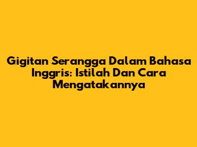 Gigitan Serangga Dalam Bahasa Inggris: Istilah Dan Cara Mengatakannya