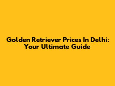 Golden Retriever Prices In Delhi: Your Ultimate Guide