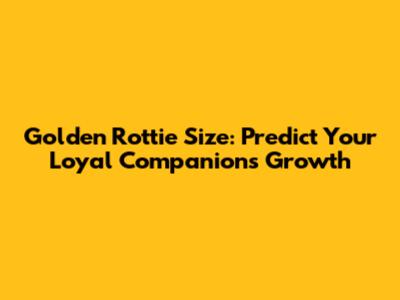 Golden Rottie Size: Predict Your Loyal Companion's Growth