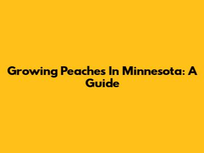 Growing Peaches In Minnesota: A Guide