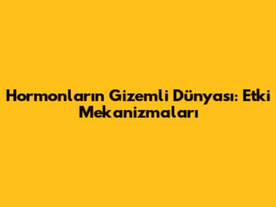 Hormonların Gizemli Dünyası: Etki Mekanizmaları