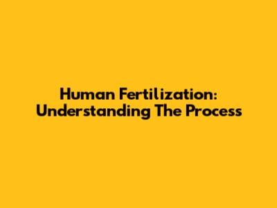 Human Fertilization: Understanding The Process