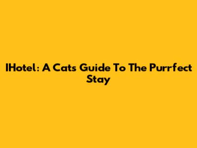 IHotel: A Cat's Guide To The Purrfect Stay
