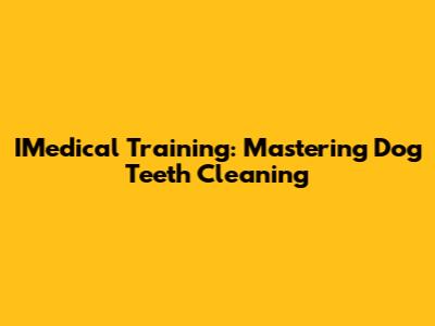IMedical Training: Mastering Dog Teeth Cleaning