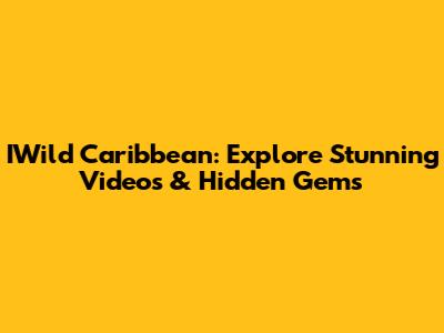IWild Caribbean: Explore Stunning Videos & Hidden Gems